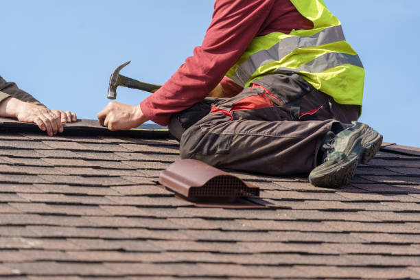 Professional Roofing Contractor in Warner Robins, GA