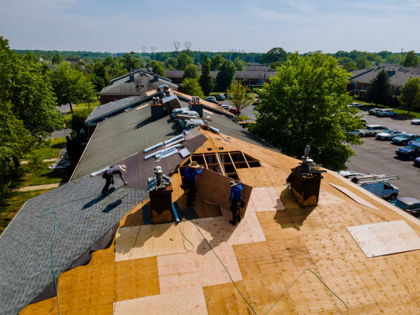 Best Residential Roofing Contractor  in Warner Robins, GA