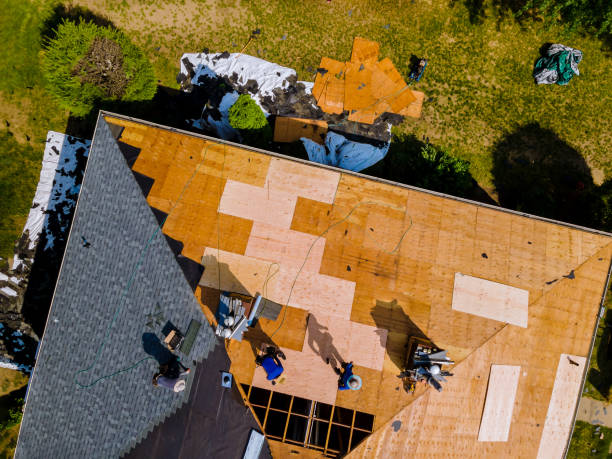 Best Roof Maintenance Services  in Warner Robins, GA