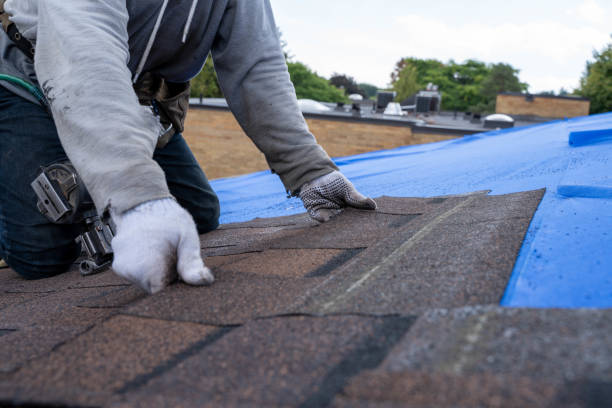 Best Roof Gutter Cleaning  in Warner Robins, GA