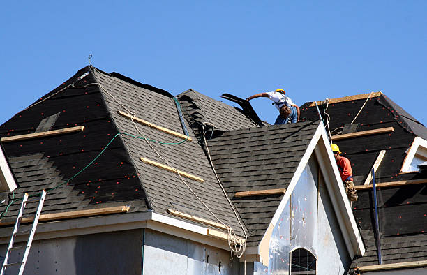 Best Roof Restoration Services  in Warner Robins, GA