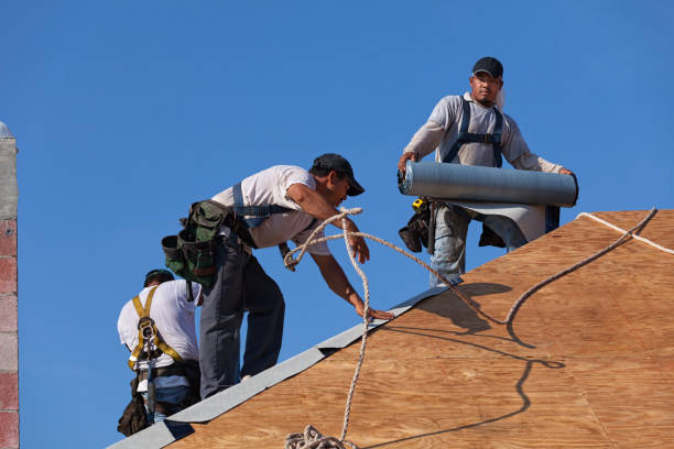 Best Roof Repair Services  in Warner Robins, GA