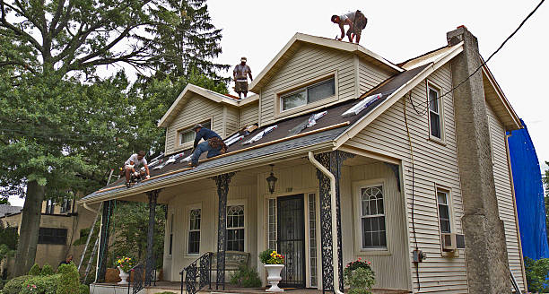 Best Shingle Roofing Installation  in Warner Robins, GA